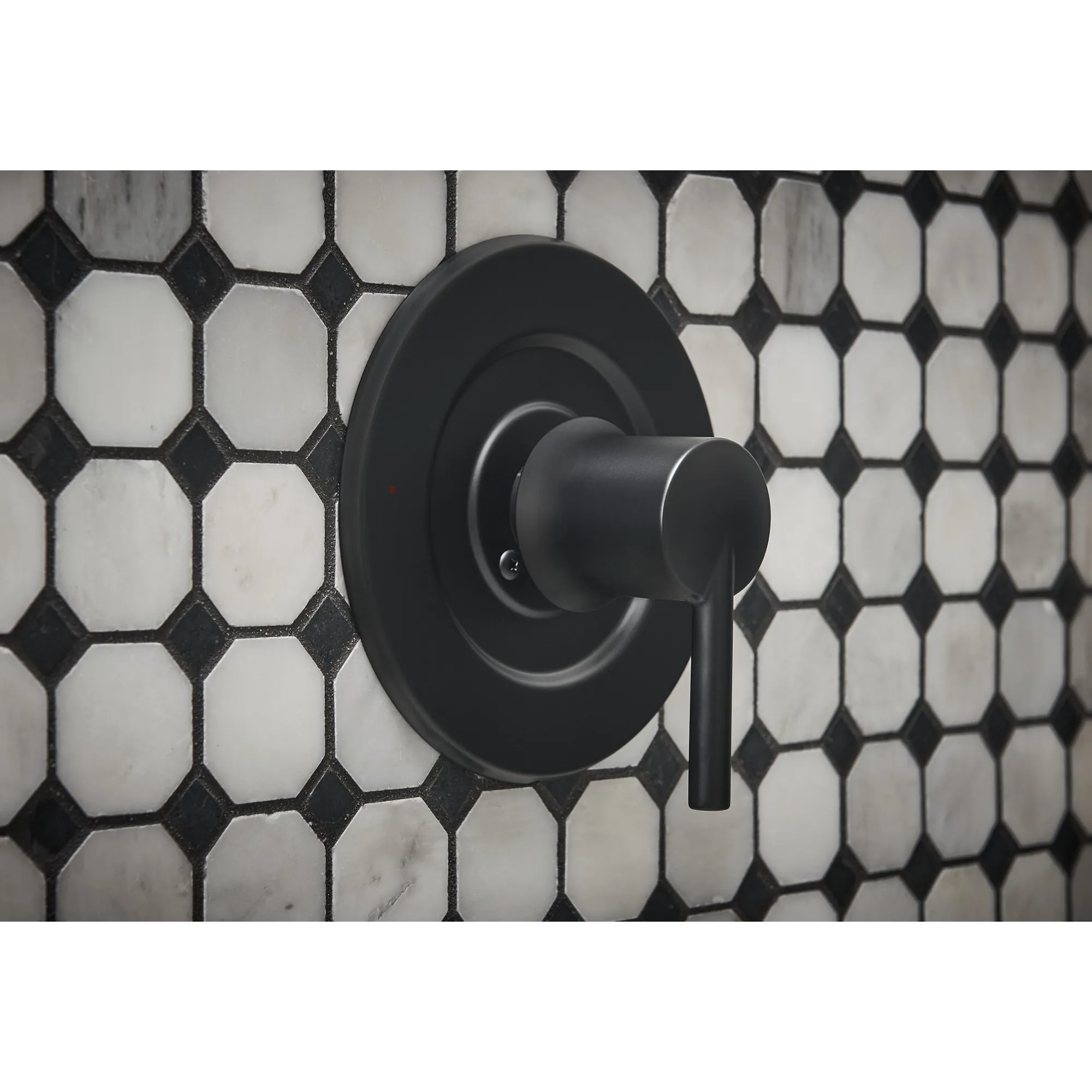 Arlys Posi-Temp(r) Tub/Shower - Image 12